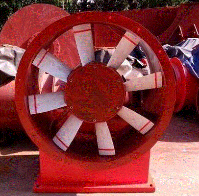 ����@���w��ľ�ذ���Щ���Ӻ�