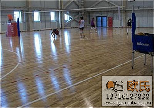 ��(sh��)ľ�\(y��n)��(d��ng)�ذ�