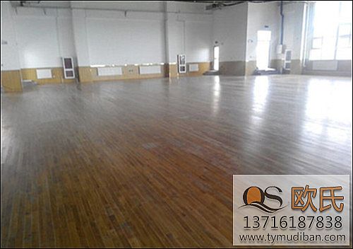 �x���\(y��n)��(d��ng)ľ�ذ������