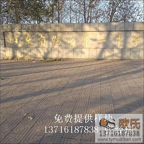 �w�����^�@���\(y��n)��ľ�ذ尸��-ɽ�|�����R����Ҫ�ЌW(xu��)�w�����^