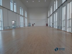 ��ͨ�w����(ch��ng)ľ�ذ�ʩ�����E