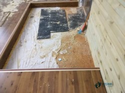 ��W�\��ľ�ذ屣�B֪�R