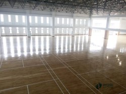 ��ľ���_���^�ذ���Щ���Ӻ�