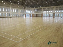 �҃��\�ӈ���ľ�ذ�ʩ���