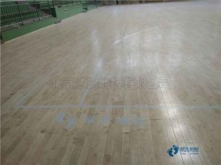 ��(sh��)ľ�\(y��n)�ӻ@��ذ�S�o(h��)���B(y��ng)