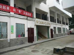 ��(sh��)ľ�@���(ch��ng)��ľ�ذ���α��B(y��ng)