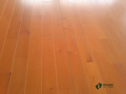 �^�õ��\��ľ�ذ��坍�B�o